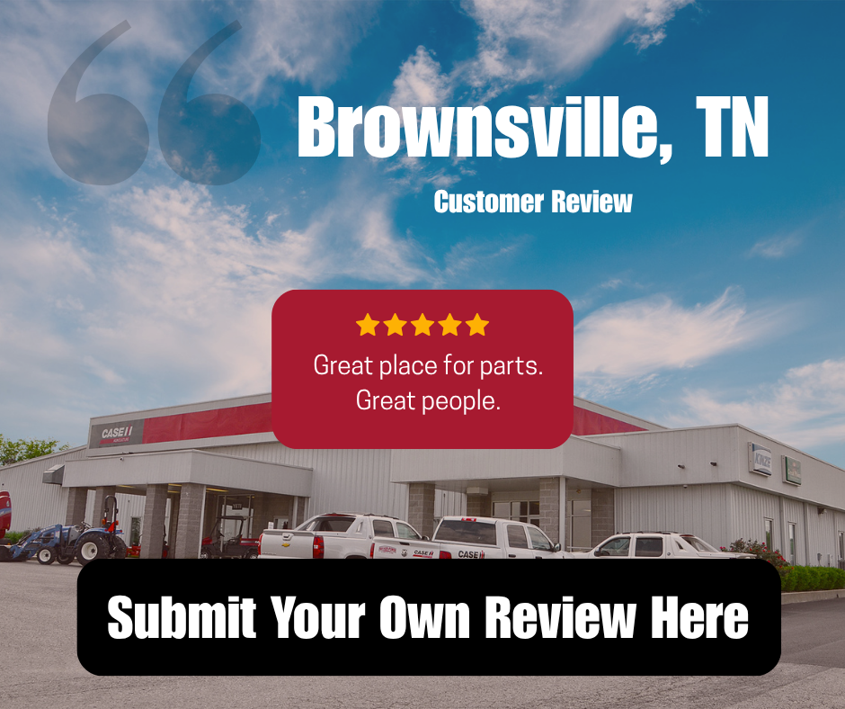 Google Review Brownsville