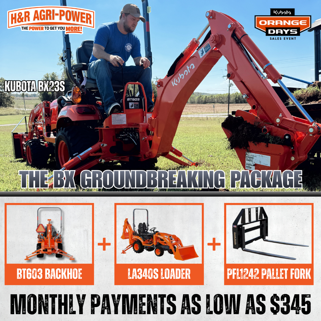 Groundbreaking Package Orange Day Website v2