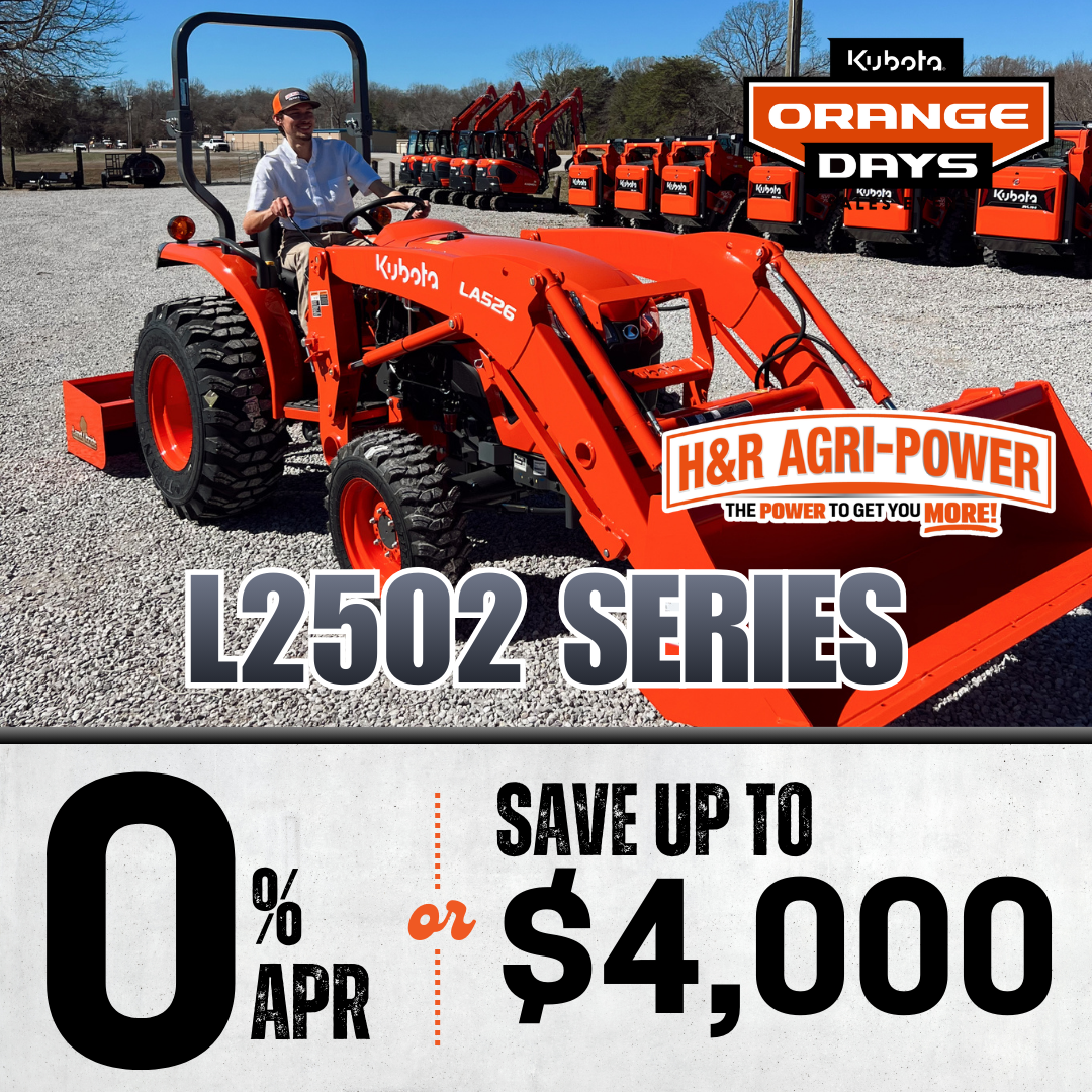 L2502 Orange Day Website