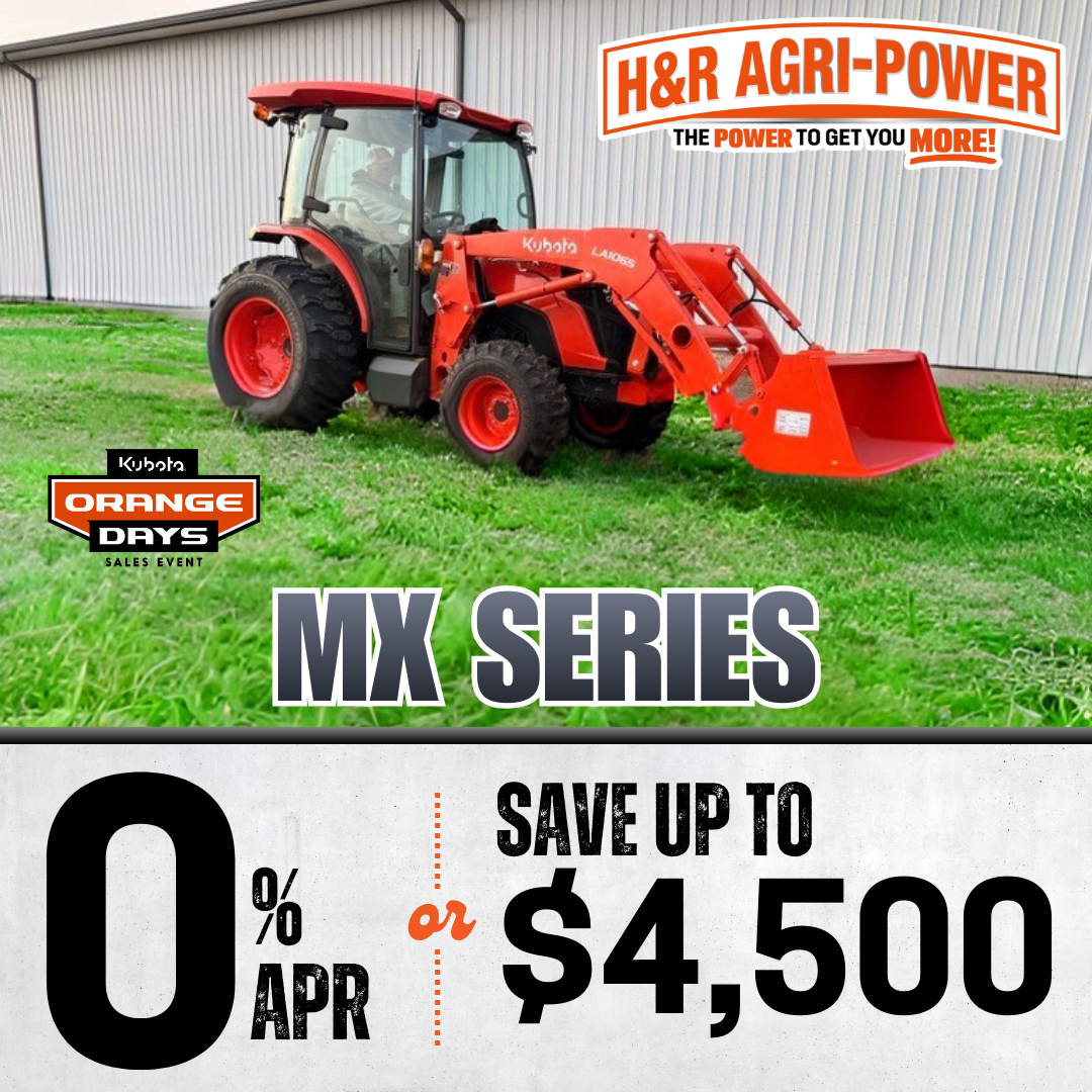 MX Orange Day Website