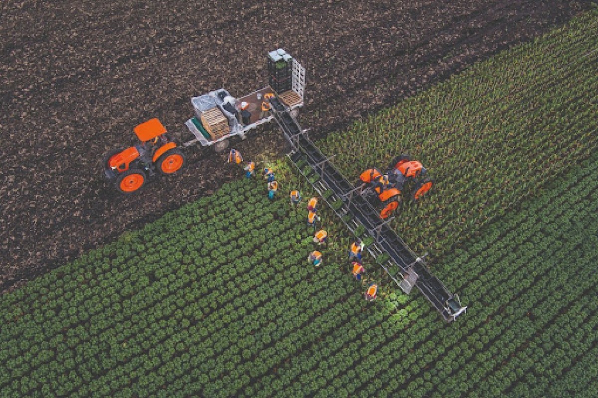 Kubota Tractor Lineup