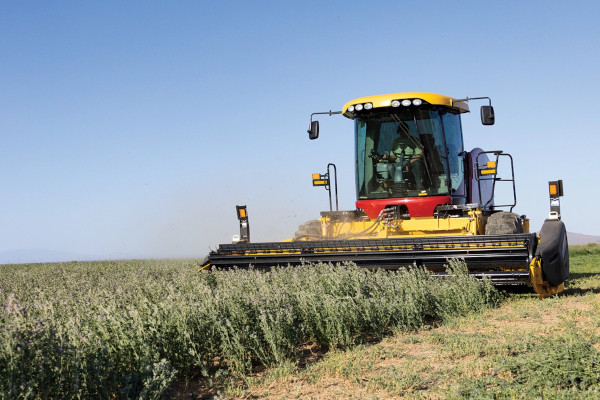 New Holland | Haytools & Spreaders | Speedrower® Plus SP Windrowers for sale at H&R Agri-Power, Kentucky, Illinois, Tennessee, Alabama, Mississippi and Indiana