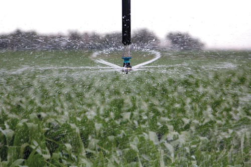Zimmatic Irrigation Systems by Lindsay