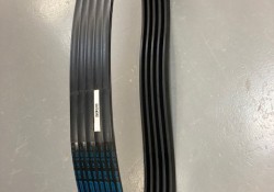 Banded belt for sale