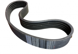 5 RIB BELT for sale