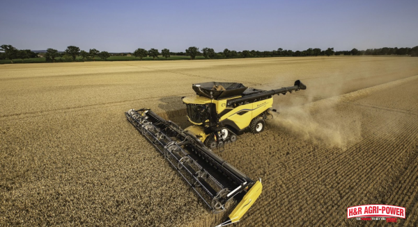 New Holland combine harvesting wheat field, illustrating proactive equipment care and dealer maintenance education