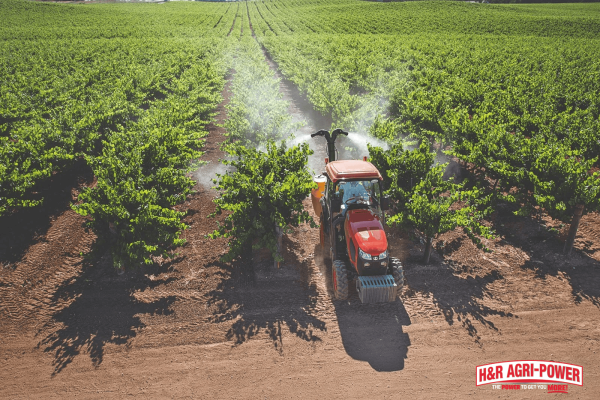 Kubota tractor operating between crop rows on a Kentucky farm, showcasing durability, fuel efficiency, and long-term value for farmers.